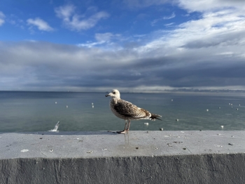 571231543_1939049076914057_1713942777815983390_n