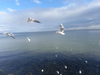 572355949_1939049030247395_3313056323708059404_n