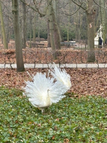 593601410_1970734407078857_9058430193784096615_n