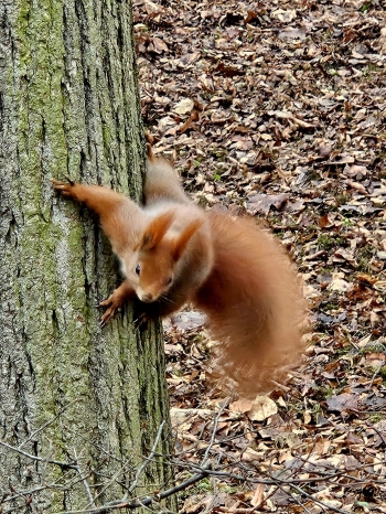 593219522_1970735310412100_8041938341881945535_n