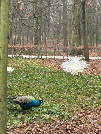 593877730_1970734437078854_8115661869264058199_n