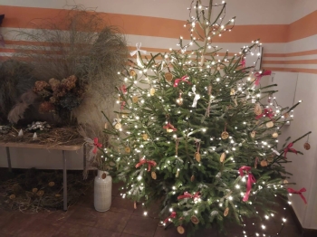 597522040_1975912266561071_8728443987436483781_n