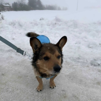 628152577_2025394221612875_4192216327149663605_n