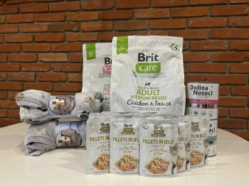 629348061_2025394291612868_1960785038288240094_n