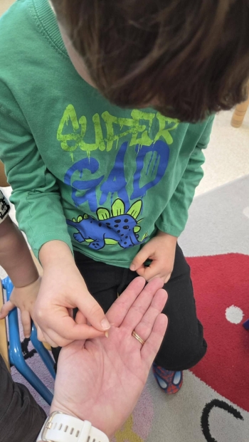 625980161_1196093119173190_4117971592591912174_n