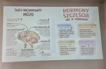 651125001_2055070635311900_9211941698040780857_n