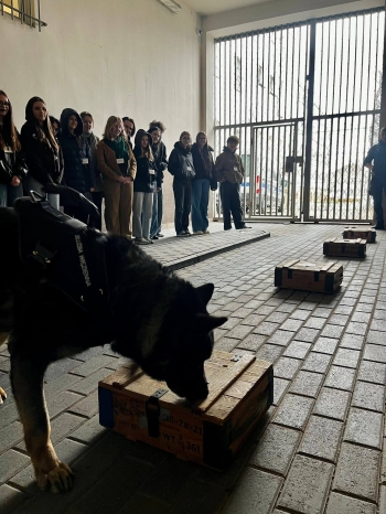 668135126_2080617749423855_306029699109412543_n