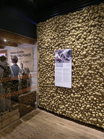 675908301_2091734554978841_3991207864617668033_n