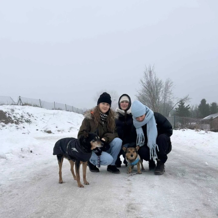 Uczennice klasy 4G z wizytą w schronisku dla zwierząt